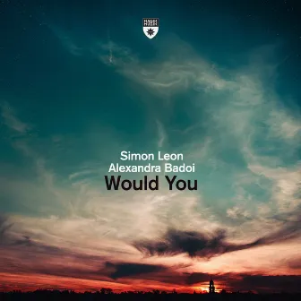 Would You by Simon Leon