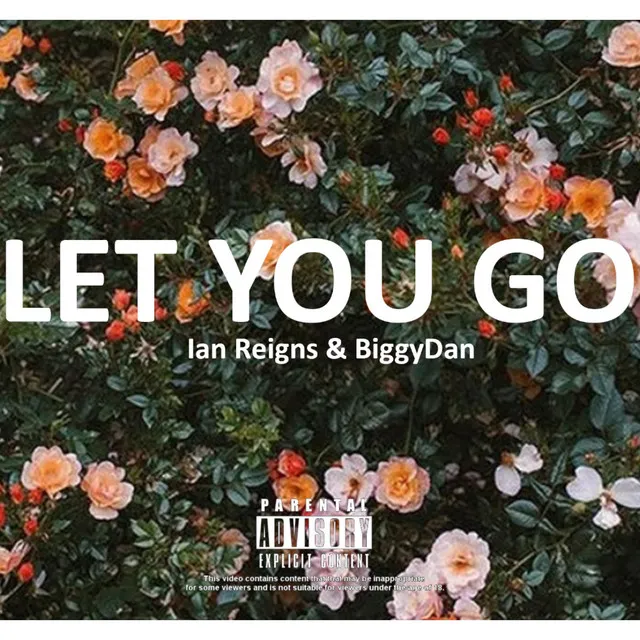 Let You Go