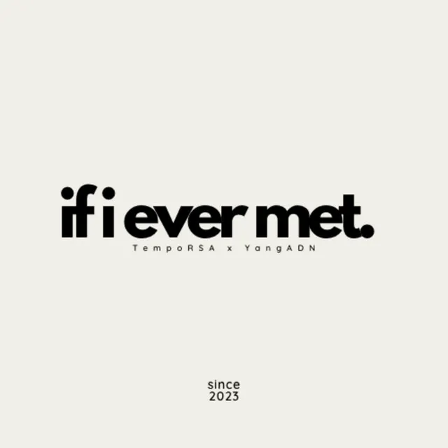 If I Ever Met - Radio Version