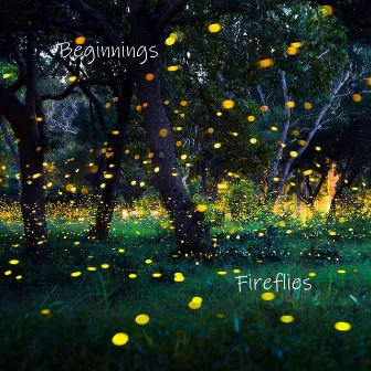 Beginnings by Fireflies