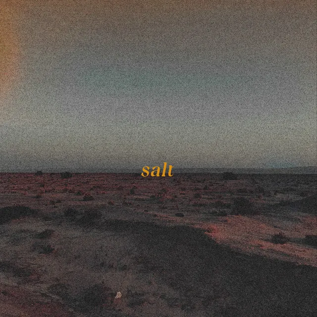 salt (feat. Ardie Son & Morris Kliphuis)