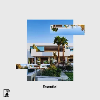 Essential by Azec