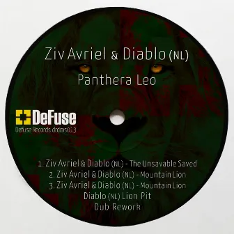 Panthera Leo by Ziv Avriel