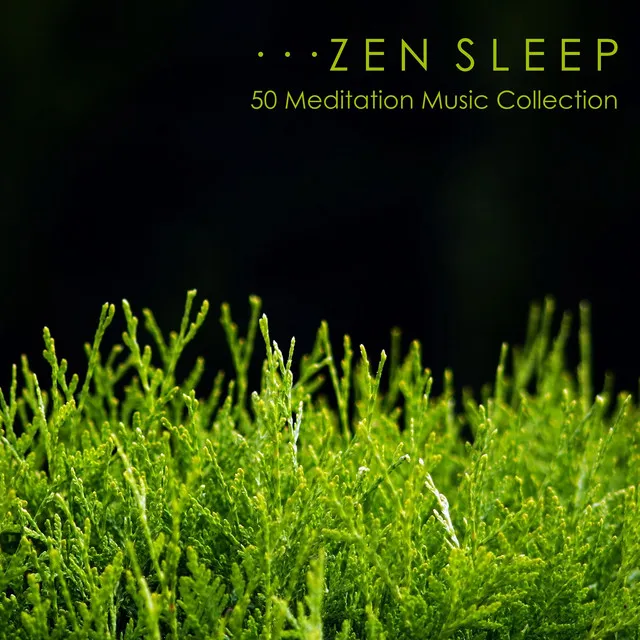 Deep Into Sleep (Music for Falling Asleep)