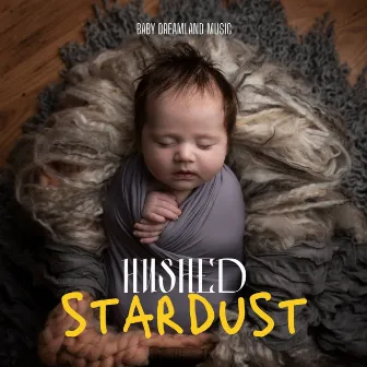 Hushed Stardust: Disney Lullabies by 