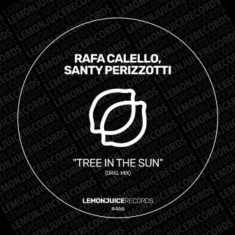 Tree In The Sun by Santy Perizzotti