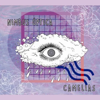 Camelias (2024 Remastered) by Nimbus Optica