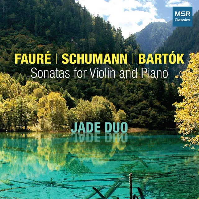 Sonata No.1 for Violin and Piano in A Major, Op. 13: II. Andante