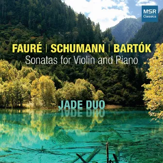 Faure, Schumann and Bartok: Sonatas for Violin and Piano by Zhen Chen