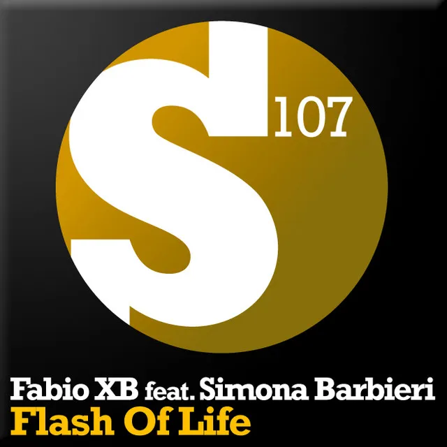 Flash Of Life - Radio Edit