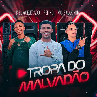 Tropa do Malvadão by Biel Acelerado