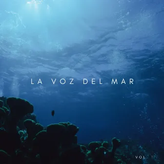 La Voz Del Mar Vol. 1 by Música de concentración profunda