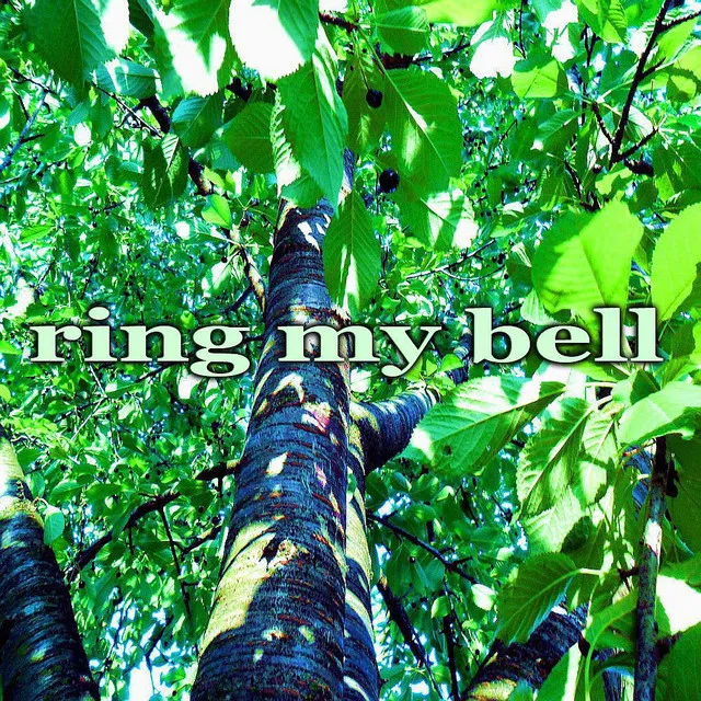 Ring My Bell (Deephouse Music)