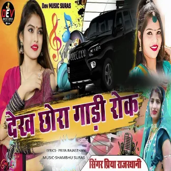 Dekh Chora Gadi Rok by Priya Rajasthani