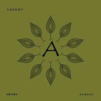 Antara by Lexont