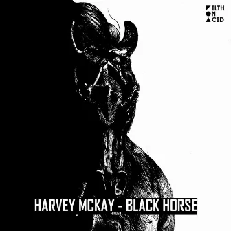 Black Horse by Harvey McKay