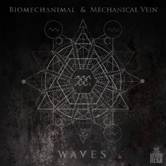 Waves by Biomechanimal