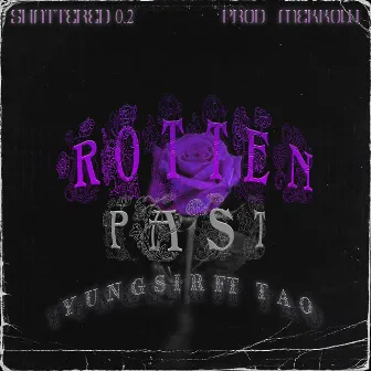 ROTTEN PAST by Yung Sir