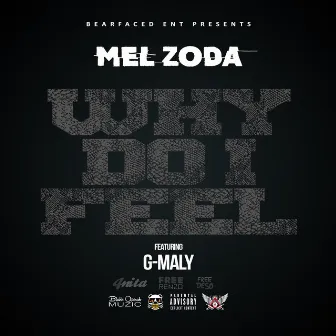 Why Do I Feel by Mel Zoda