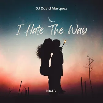 I Hate The Way by DJ David Marquez