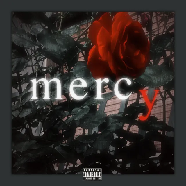 Mercy