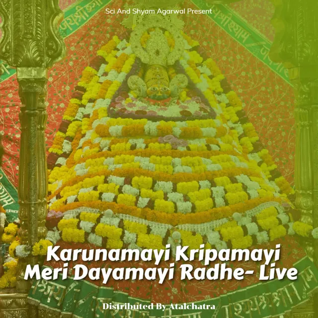 Karunamayi Kripamayi Meri Dayamayi Radhe- Live