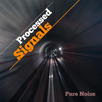 Processed Signals by Pure Noise