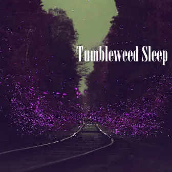 Tumbleweed Sleep by Joey Cook