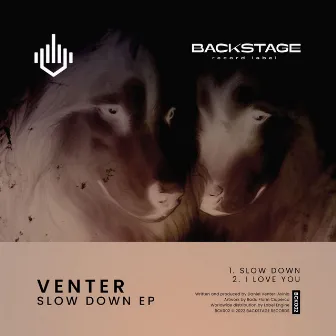 Slow Down EP by Venter (RO)