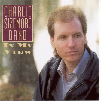 In My View by Charlie Sizemore