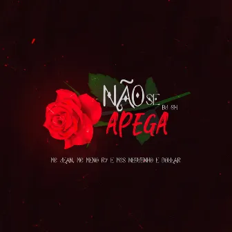 Não Se Apega by MCs Neguinho e Dollar