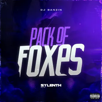 Pack Of Foxes by DJ Banzin