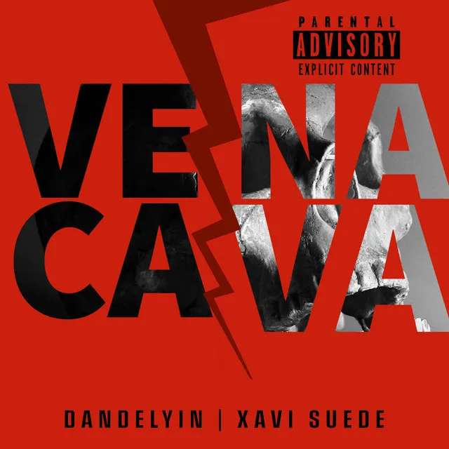 Vena cava