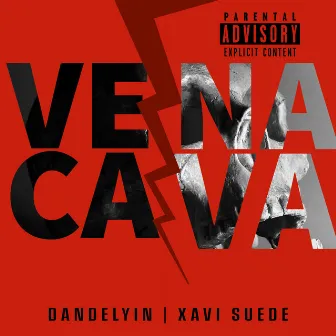 Vena cava by Dandelyin