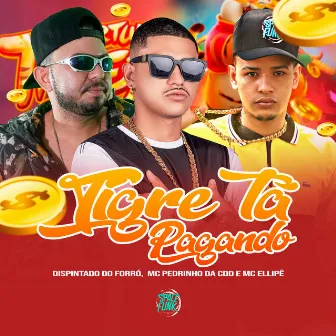 Tigre Tá Pagando by MC Ellipê