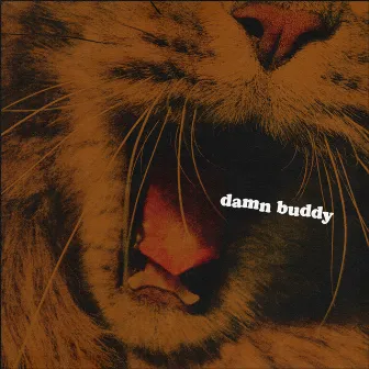 Damn Buddy by Mister