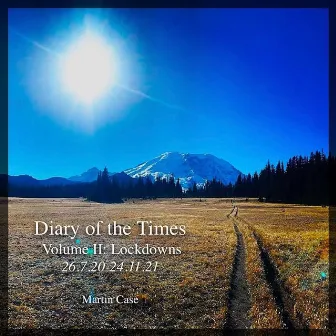 Diary of the Times, Vol. II: Lockdowns (26.7.20-24.11.21) by Martin Case