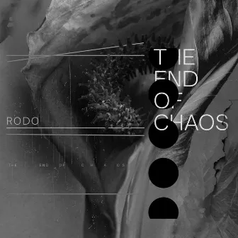 The End Of Chaos by Rodo