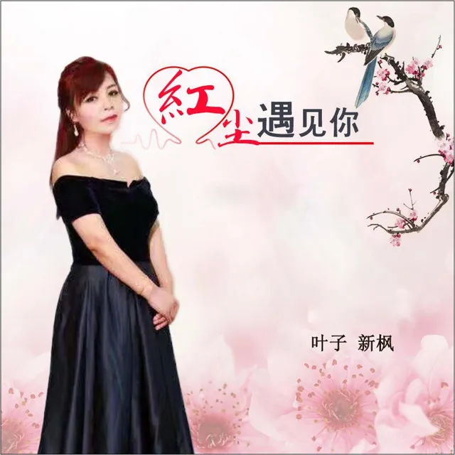 红尘遇见你 (女声DJ版)