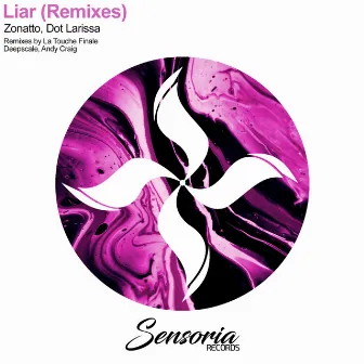 Liar Remixes by Dot Larissa