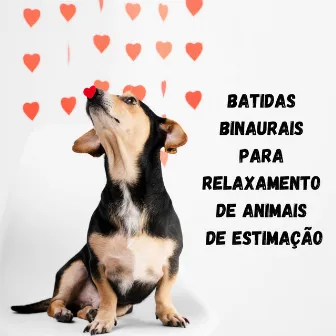 Batidas binaurais para relaxamento de animais de estimação: música calmante para dormir para cães e gatos by Música para cães!