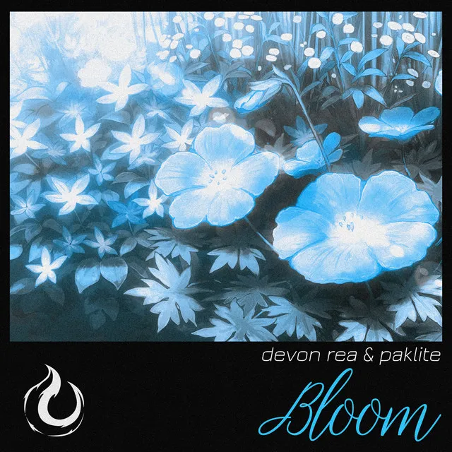 Bloom