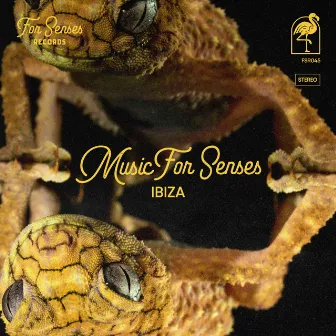 Music for Senses - Ibiza 2024 Mixed (DJ Mix) by Unknown Artist