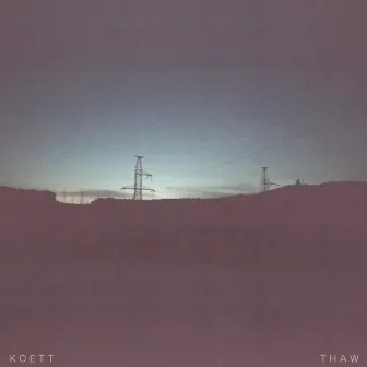 Thaw by Koett