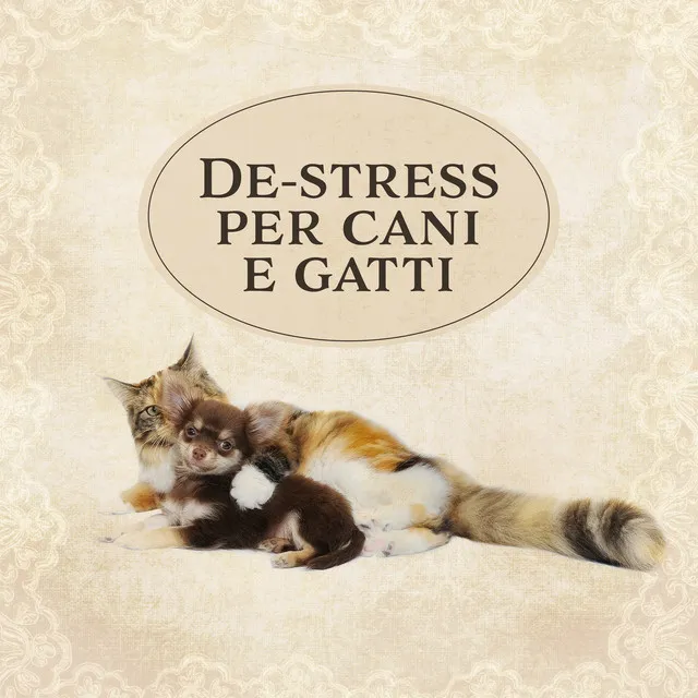 De-stress per cani e gatti (Musica rilassante per aiutare i tuoi animali a calmarsi)