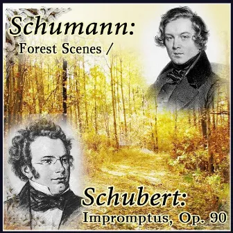 Schumann: Forest Scenes / Schubert: Impromptus, Op. 90 by Vladimir Shakin