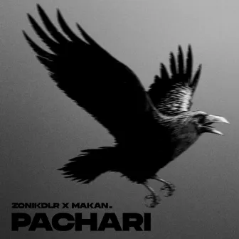 Pachari by ZONIKDLR