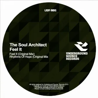 Feel It by The Soul Architect