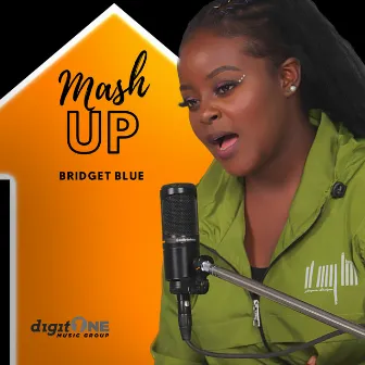 Mash Up by Bridget Blue