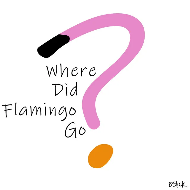 Where Did Flamingo Go